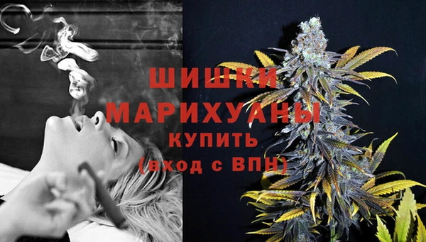 твердый Горняк