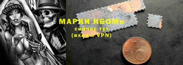 твердый Горняк