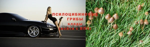 твердый Горняк