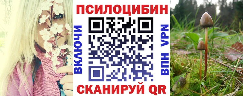 МЕГА ССЫЛКА  Горнозаводск  Псилоцибиновые грибы MAGIC MUSHROOMS  цена  